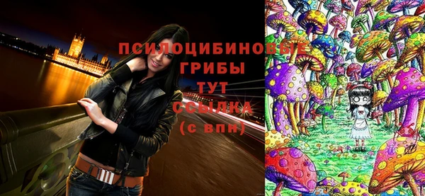 МДПВ Нефтегорск