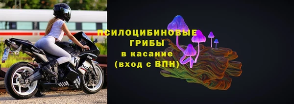 спиды Надым
