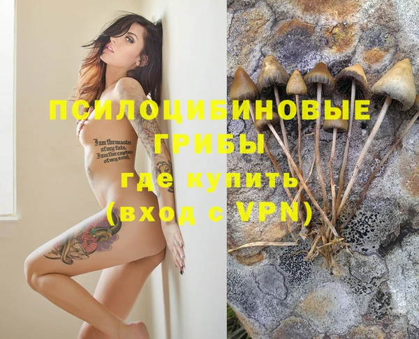 спиды Надым