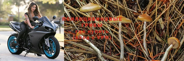 MDMA Нефтекумск